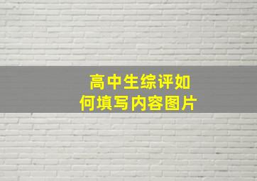 高中生综评如何填写内容图片