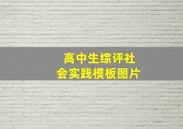 高中生综评社会实践模板图片