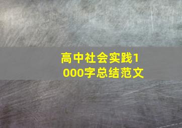 高中社会实践1000字总结范文