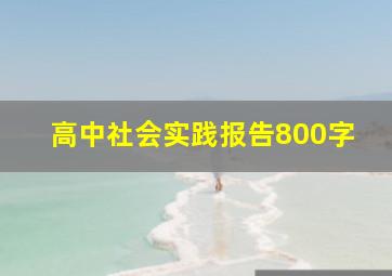 高中社会实践报告800字