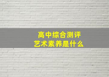 高中综合测评艺术素养是什么