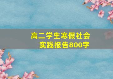 高二学生寒假社会实践报告800字