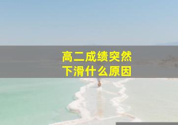 高二成绩突然下滑什么原因