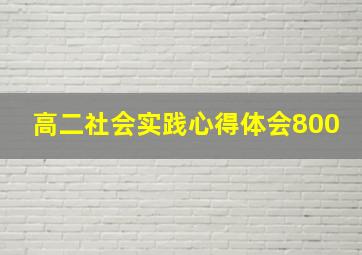 高二社会实践心得体会800