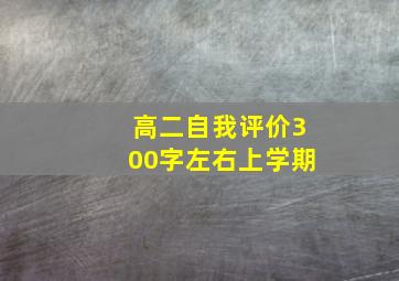 高二自我评价300字左右上学期