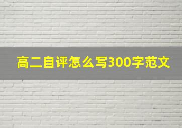 高二自评怎么写300字范文