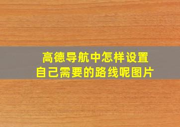 高德导航中怎样设置自己需要的路线呢图片