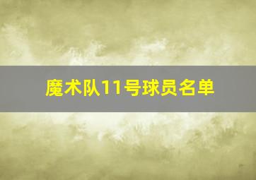 魔术队11号球员名单