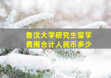 鲁汶大学研究生留学费用合计人民币多少