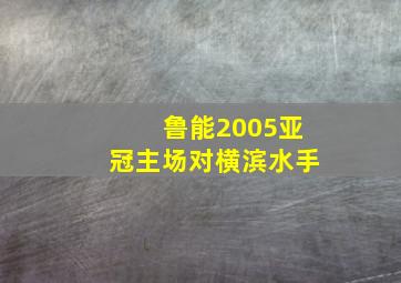 鲁能2005亚冠主场对横滨水手