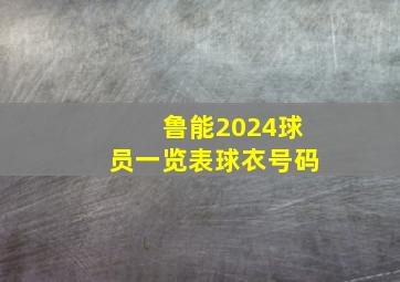 鲁能2024球员一览表球衣号码