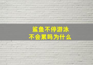 鲨鱼不停游泳不会累吗为什么