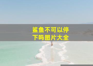 鲨鱼不可以停下吗图片大全