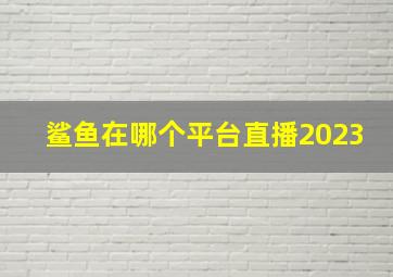 鲨鱼在哪个平台直播2023