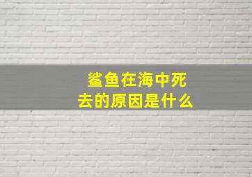 鲨鱼在海中死去的原因是什么