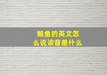 鲸鱼的英文怎么说读音是什么