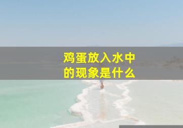 鸡蛋放入水中的现象是什么