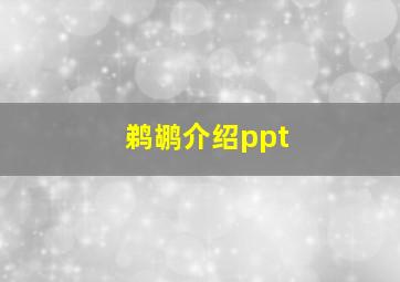 鹈鹕介绍ppt