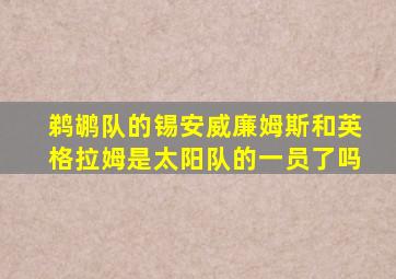 鹈鹕队的锡安威廉姆斯和英格拉姆是太阳队的一员了吗