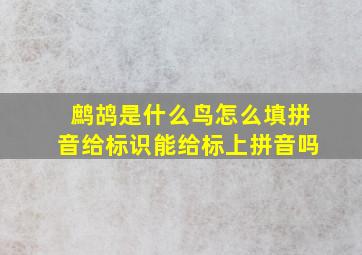 鹧鸪是什么鸟怎么填拼音给标识能给标上拼音吗