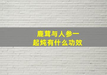 鹿茸与人参一起炖有什么功效