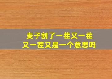 麦子割了一茬又一茬又一茬又是一个意思吗