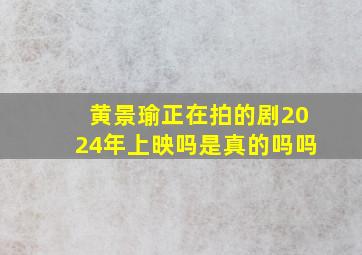 黄景瑜正在拍的剧2024年上映吗是真的吗吗