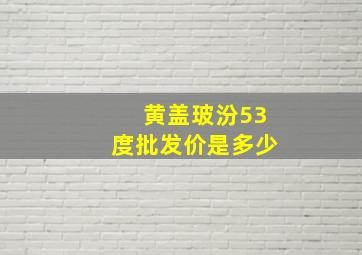 黄盖玻汾53度批发价是多少