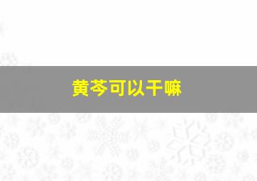 黄芩可以干嘛