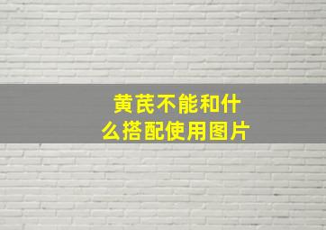 黄芪不能和什么搭配使用图片