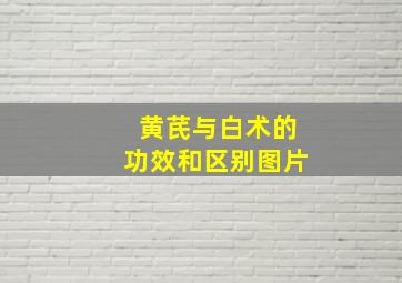 黄芪与白术的功效和区别图片