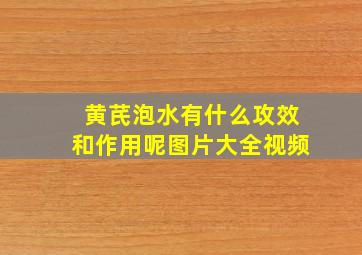 黄芪泡水有什么攻效和作用呢图片大全视频