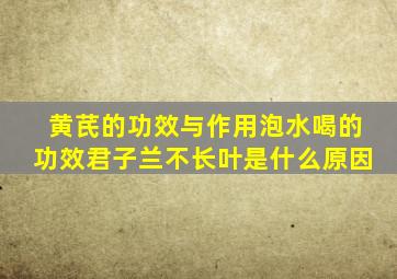 黄芪的功效与作用泡水喝的功效君子兰不长叶是什么原因