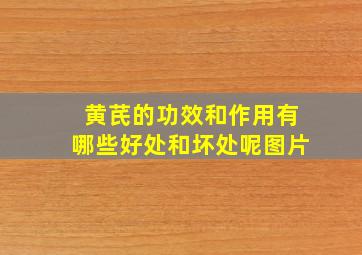 黄芪的功效和作用有哪些好处和坏处呢图片