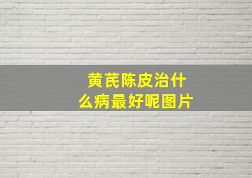 黄芪陈皮治什么病最好呢图片