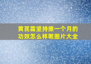 黄芪霜坚持擦一个月的功效怎么样呢图片大全