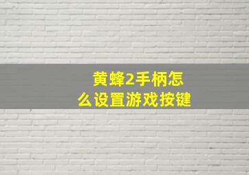 黄蜂2手柄怎么设置游戏按键