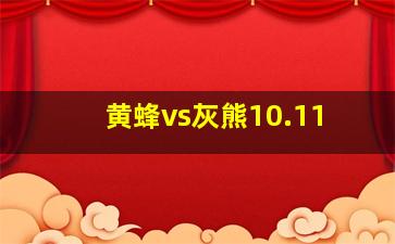 黄蜂vs灰熊10.11