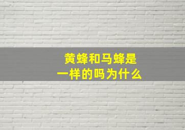 黄蜂和马蜂是一样的吗为什么