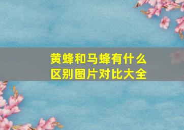 黄蜂和马蜂有什么区别图片对比大全