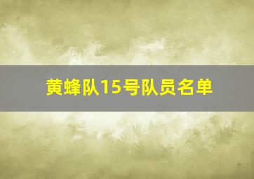 黄蜂队15号队员名单