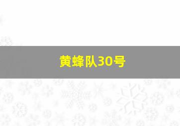 黄蜂队30号