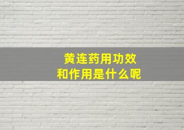 黄连药用功效和作用是什么呢