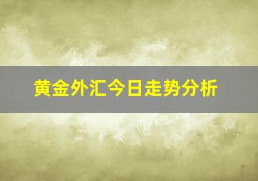 黄金外汇今日走势分析