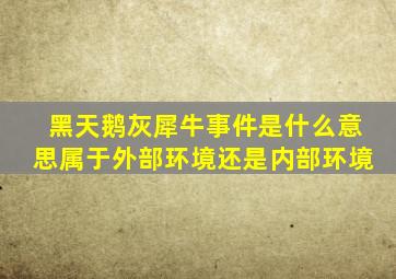 黑天鹅灰犀牛事件是什么意思属于外部环境还是内部环境