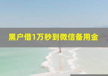 黑户借1万秒到微信备用金