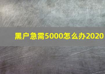 黑户急需5000怎么办2020