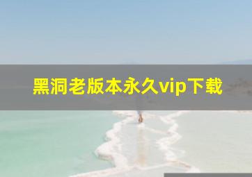 黑洞老版本永久vip下载