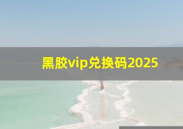 黑胶vip兑换码2025