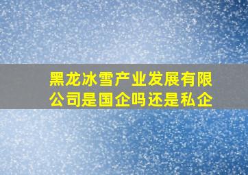 黑龙冰雪产业发展有限公司是国企吗还是私企